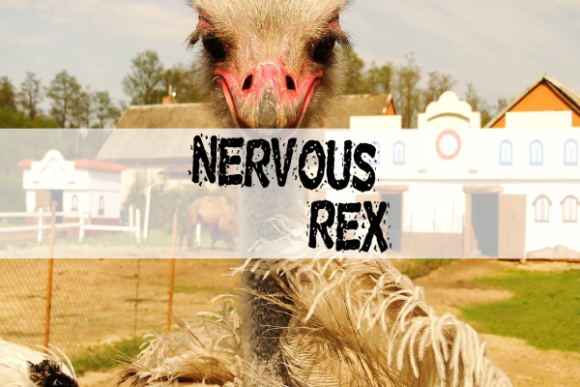 What Is Nervous Rex and Why It’s a Game-Changer for Designers